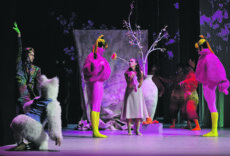 Heldenhafte Waschbären und coole Flamingos: »Aschenbrödel« am Gärtnerplatztheater