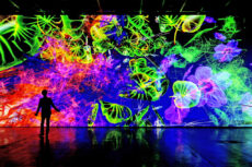 Der digitale Impressionist: Immersive Ausstellung von Miguel Chevalier in der Kunsthalle München