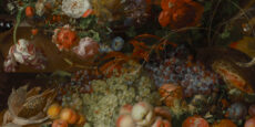 rachel ruysch